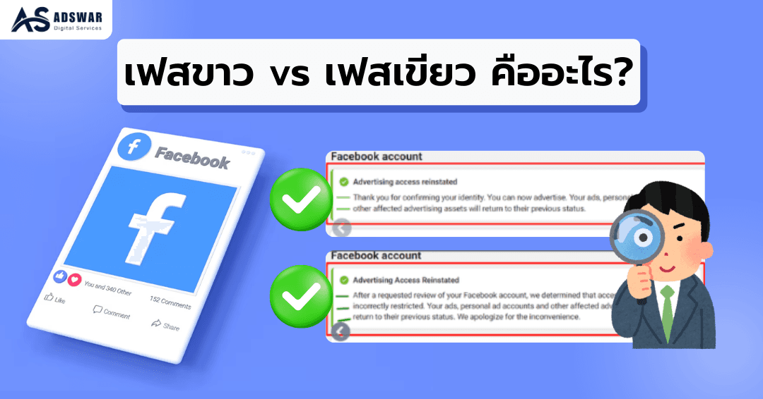 เฟสขาว vs เฟสเขียว คืออะไร ต่างกันยังไง? อัปเดตล่าสุดปี 2025